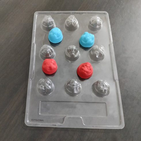 Cacao 6 Different Animals Shape PVC Mould