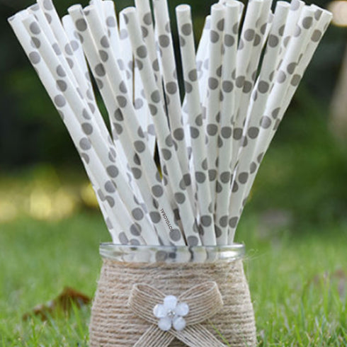 Paper Polka Dot Shape Straw Silver & White