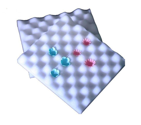 JoyGlobal 2 Pieces Set Flower Drying Foam Pad