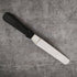 Stainless Steel Palette Knife Bent with Plastic Handle - 8 Inch