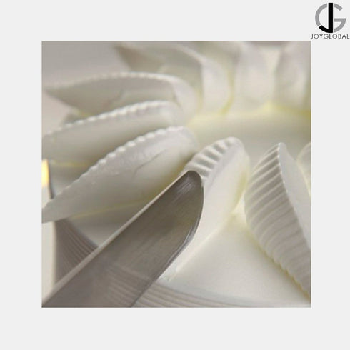 JoyGlobal 10 Inch Plastic Handle Palette Knife
