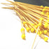 Skewer_50 of Pack Yellow