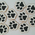 Plastic Dog Paw Chocolate Mould