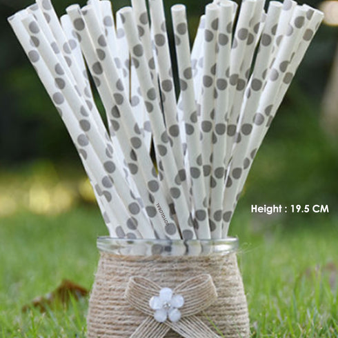 Paper Polka Dot Shape Straw Silver & White