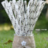 Paper Polka Dot Shape Straw Silver & White