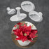 Poinsettia Leaf Plunger Cutters