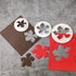 3 Piece Set Hawaiian Flowers Cutter