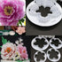 Peony Petals Flower Cutter