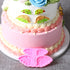 Silicone Angel Wings Mould
