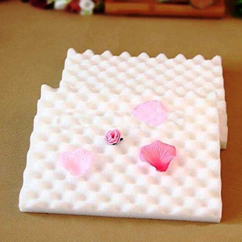 JoyGlobal 2 Pieces Set Flower Drying Foam Pad