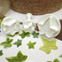 Veined Ivy Leaf Plunger Cutters