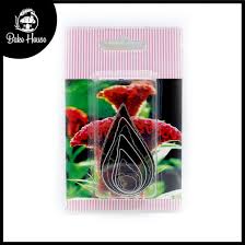 COCKSCOMB Flower Cutter