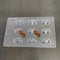 Cacao PVC Seahorse Shape Chocolate Mould - 9 Grams
