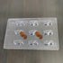Cacao PVC Seahorse Shape Chocolate Mould - 9 Grams